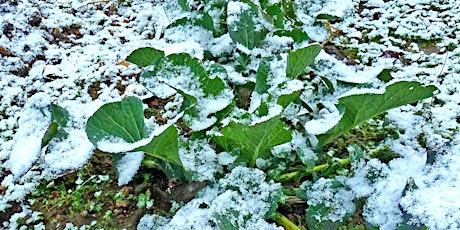 Winter Gardening Workshop primary image