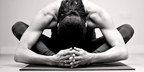 Yin Yoga primary image