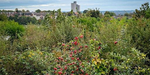 Guided Tour of St Ann's Allotments