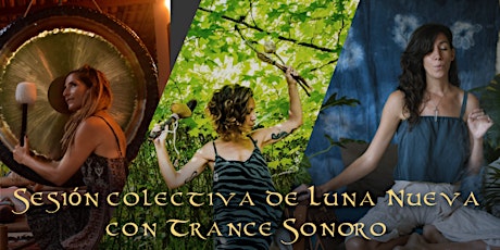 Imagen principal de Sesión colectiva de Luna Nueva con Trance Sonoro!