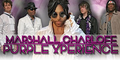 The Purple xPeRIeNCE