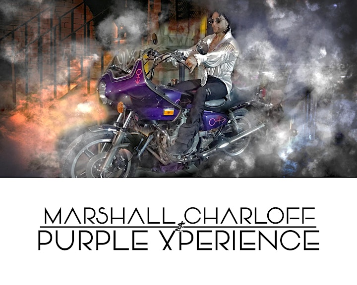The Purple xPeRIeNCE image