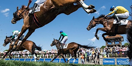 Elevate Lifestyle's Queen's Cup Steeplechase Outing primary image