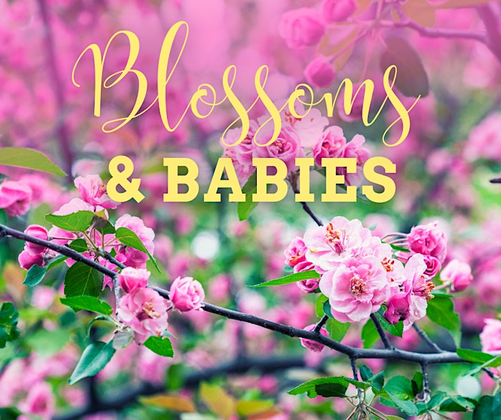 Blossoms & Babies at Hicks Orchard - Mother's Day image
