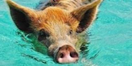 Rose Island with Swimming Pigs