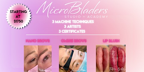 Image principale de 3-Day Ombré Brows, Nano Brows, + Lip Blush Training Certification Course