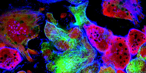 1st Northeast Physical Sciences Oncology Symposium
