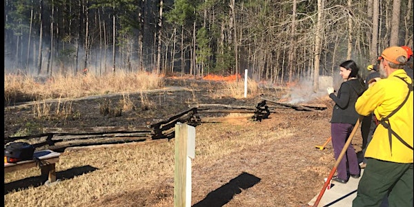 SFE Webinar: Fire Adapted Cities: Prescribed Fire Use in Urban and Communit...