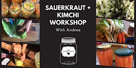 Sauerkraut ans Kimchi Workshop with Andrea primary image