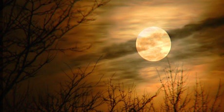 Autumn Equinox & Full Moon Women's Circle primary image