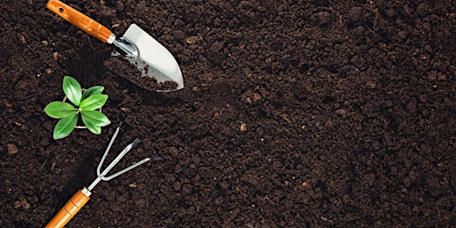 Garden essentials 1: Composting and soil fertility