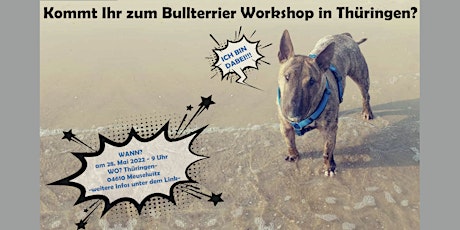 Bullterrier Workshop Thüringen tickets