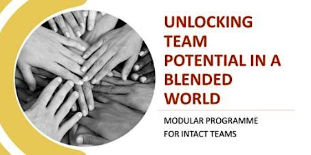 Unlocking Team Potential in a Blended World- (4 Modules) primary image