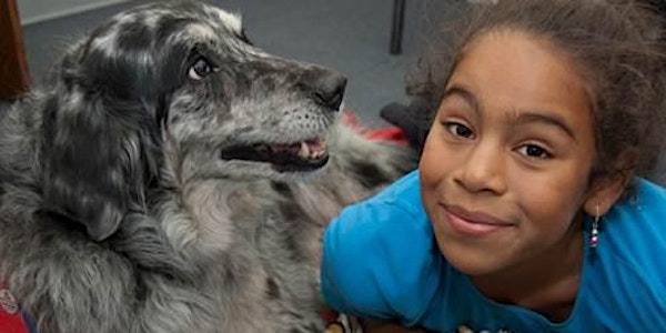 Therapy Animals: Finding the Right Fit for Your Family