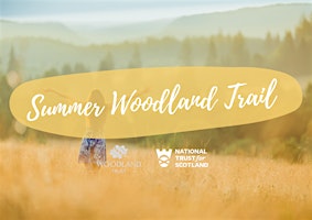 Summer Woodland Trail