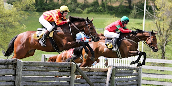2022 Howard County Cup Races