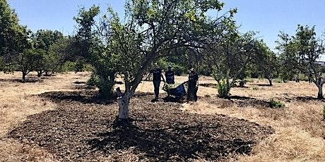 Historic Orchard Workday at the Guadalupe River Park tickets