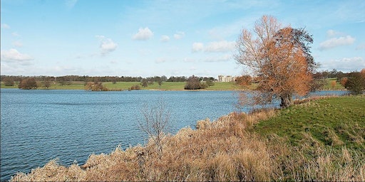Capability Brown; The Lincolnshire Connection