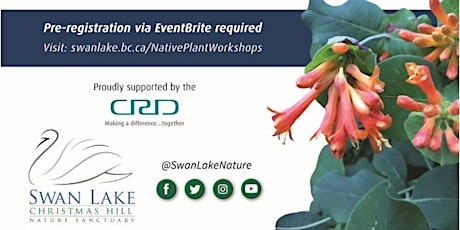 Embracing the Wild: Gardening With Native Plants, Saturday March 19 primary image