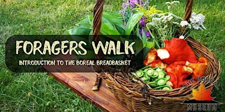 Boreal Museum's Foragers Walk tickets