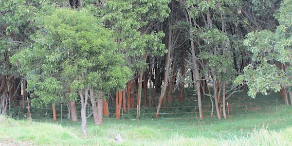 Forestry Landowner Assistance Workshop in Kona
