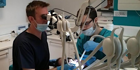 Master Endodontics Hands-On Day Course primary image