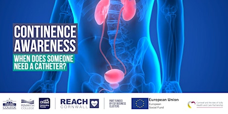 Imagem principal de Continence Awareness - when does someone need a catheter?