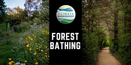 Forest Bathing with Climate Ambassadors