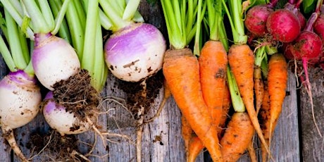 Falling in Love with Root Vegetables: Cooking with your CSA and Local Produce primary image