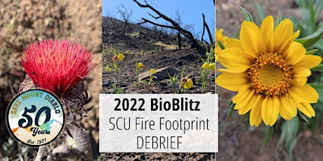 Imagen principal de 2022 Bioblitz Debrief