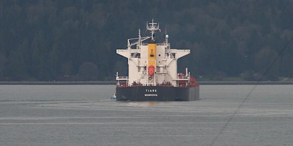 BUNKER SURVEY ON BOARD M/V "GCL HAZIRA"