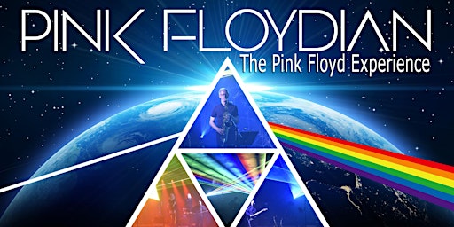 PINK FLOYDIAN | Performing THE DARK SIDE OF THE MOON & more