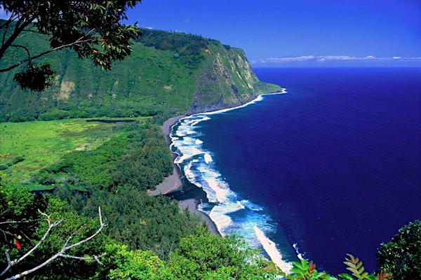 Deep Healing Hawaii Dream Manifestation Retreat - For Authors, Coaches & Thought Leaders