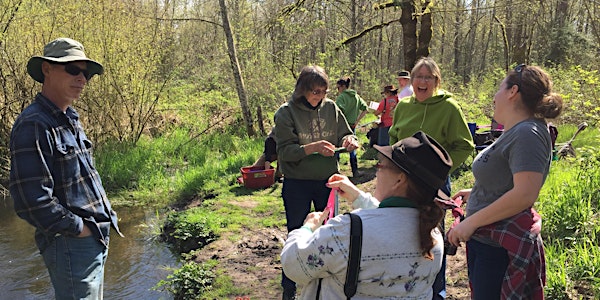 World Water Quality Day