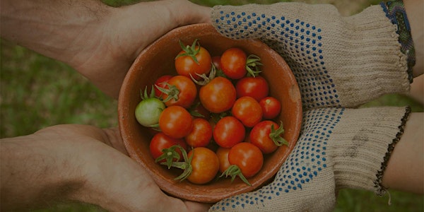 Co-designing Our Regenerative Future: Unconference on Agriculture & Beyond