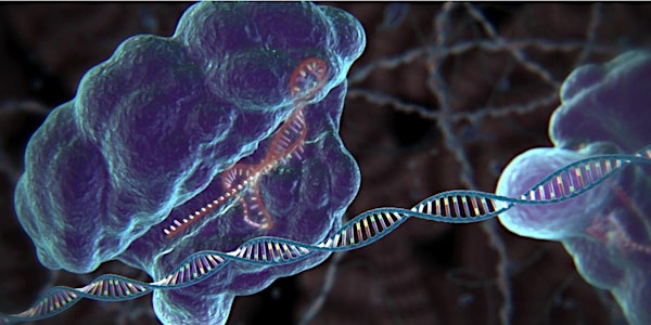 CRISPR Workshop: Beyond the Hype