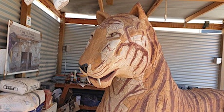 The Andamooka Tiger, Year of the Tiger