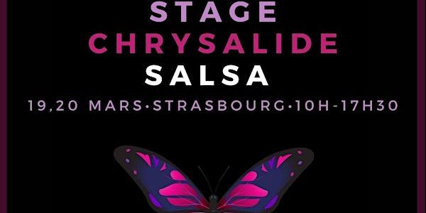 Stage Chrysalide Salsa