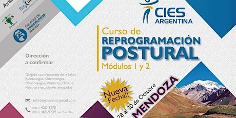Imagen principal de CURSO DE REPROGRAMACIÓN POSTURAL