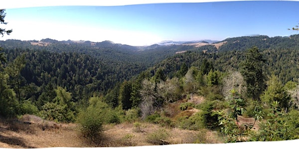 Willow Creek Tributary Tour