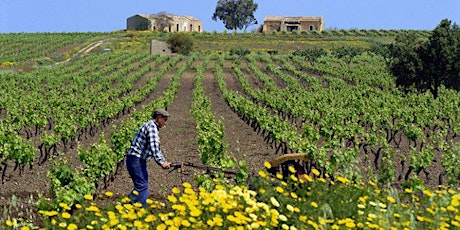 Immagine principale di Informazione e innovazione in agricoltura 