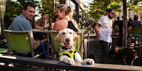 Yappy Hour at The Freehouse primary image