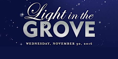 2016 Light in the Grove primary image