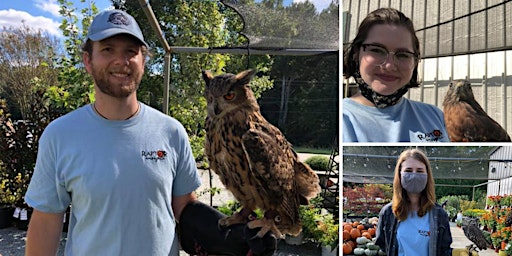 Raptor Insights at Piedmont Feed & Garden Center primary image