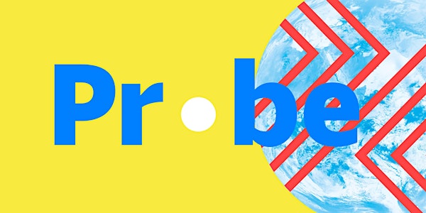 Probe