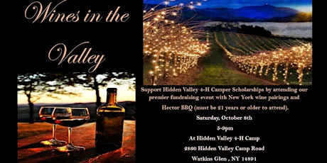 Wines in the Valley primary image