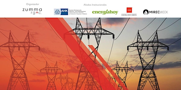 Suministro Eléctrico para Grandes Usuarios en el Mercado Mexicano