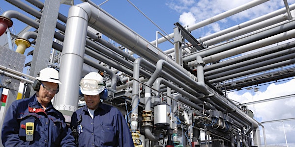 Flow Assurance for Oil & Gas