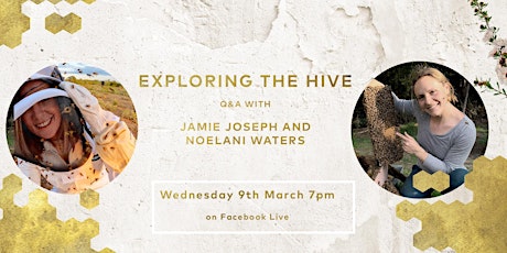 Exploring the hive – Q&A with Jamie Joseph and Noelani Waters primary image