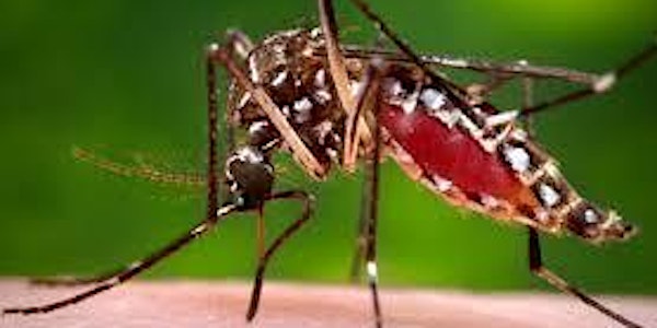 Science (non) Fiction: Using Biotechnology to fight mosquitos (Fri. night-S...